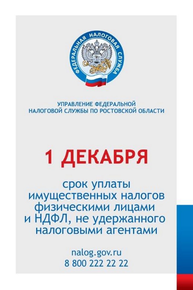 1 декабря срок уплаты налогов